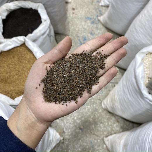 茺蔚子 商品图4