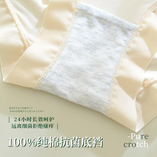 软糯亲肤 透气不闷热 兰精莫代尔内裤女 纯棉中腰抗菌裆大码无痕女士内裤全棉少女三角裤 商品图2