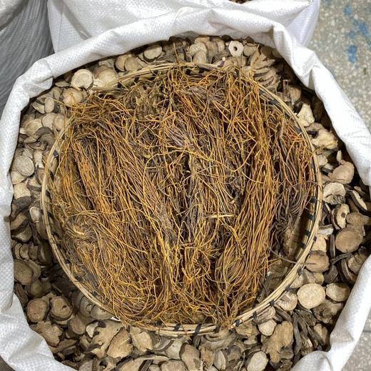 金丝马尾连 商品图2