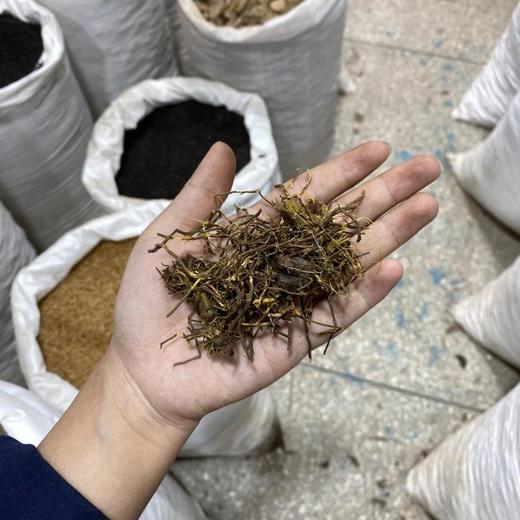 马尾连 商品图4