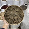 鹅不食草 商品缩略图0
