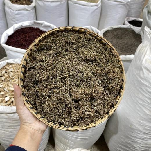 鹅不食草 商品图0