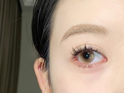 Huohuocon半年抛-太阳蛋菇 商品图13