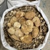猴头菇 可磨粉 养胃 商品缩略图2