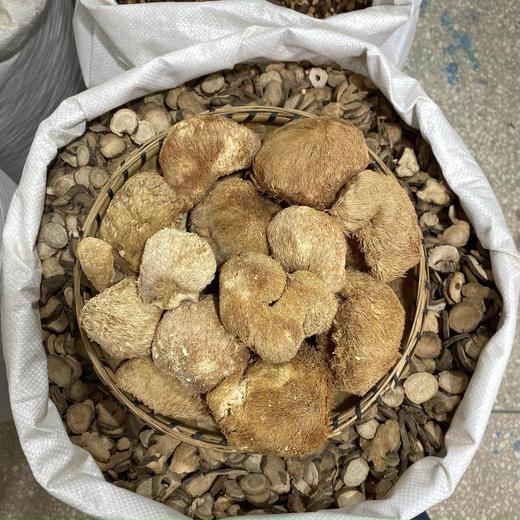 猴头菇 可磨粉 养胃 商品图2