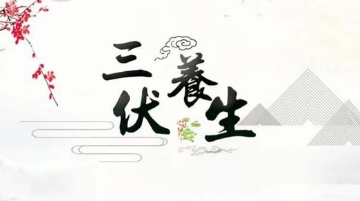 0715三伏天初伏灸法 商品图0