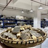 臭椿皮   椿根皮 商品缩略图1