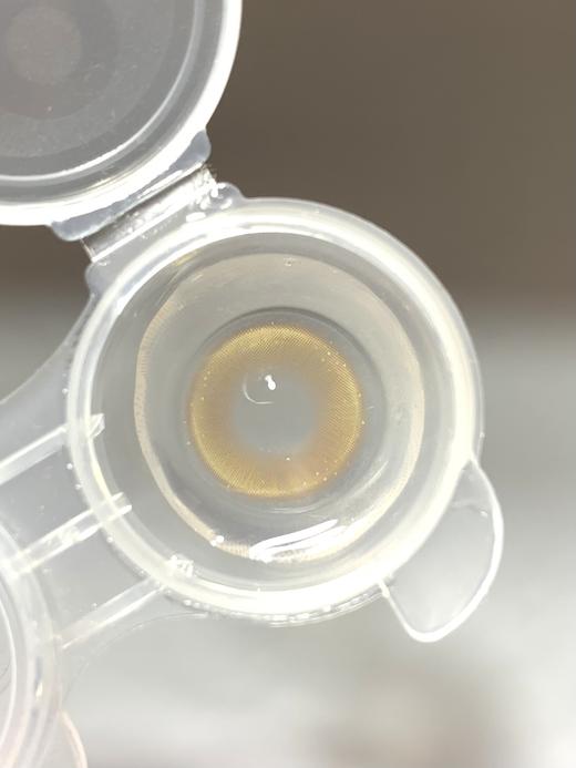 Huohuocon半年抛-太阳蛋菇 商品图6