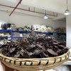 野生鹿衔草 鹿晗草 鹿含草 鹿寿草正品新货 商品缩略图2