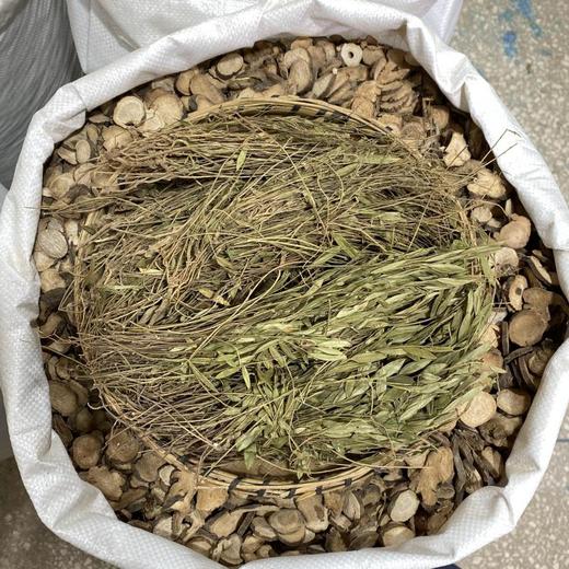 瓜子金 (辰砂草） 商品图2