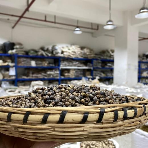 鸦胆子 商品图1