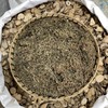 鹅不食草 商品缩略图2