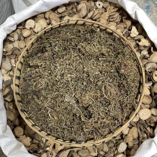 鹅不食草 商品图2