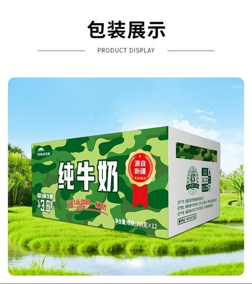新疆天润迷彩枕全脂纯牛奶生牛乳全脂灭菌乳200ml*12袋装整箱 商品图4