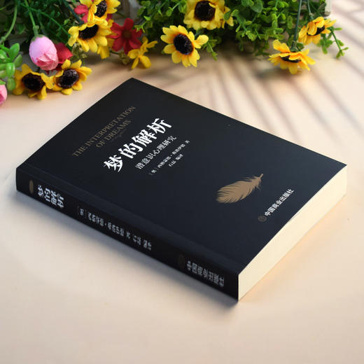 梦的解析 商品图4