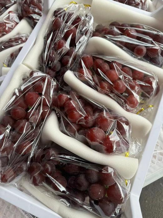 妮娜皇后葡萄 皮薄  甜甜的果粉浓郁葡萄 商品图11