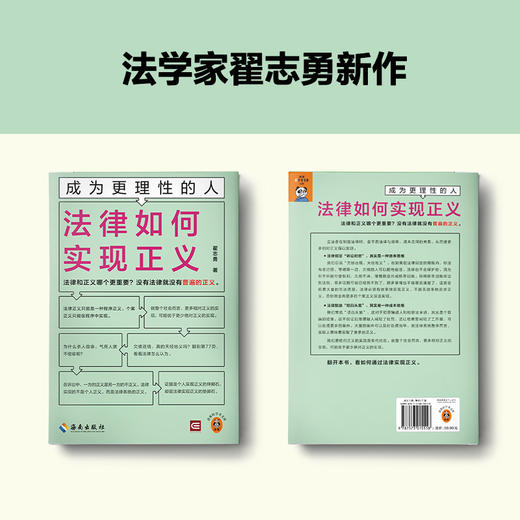 法律如何实现正义 商品图2