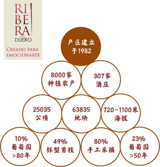 【普洛托斯 弗德乔干白葡萄酒】本款来自于西班牙著名的白葡萄酒产地卢埃达产区 由西班牙代表白葡萄弗德乔酿成 酒泥陈酿使这款酒口感更添丰富 充分冰镇后饮用 偏远地区不发或请联系客服 商品图11