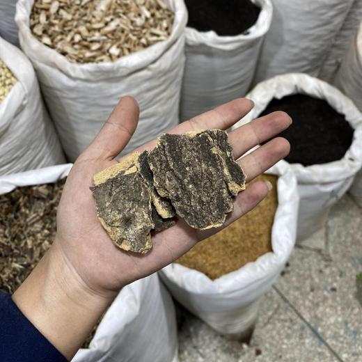 臭椿皮   椿根皮 商品图3