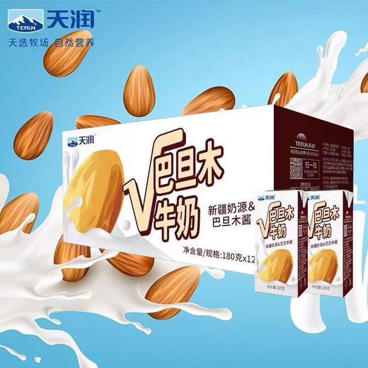 天润 巴达木牛奶 180g*12盒 商品图0