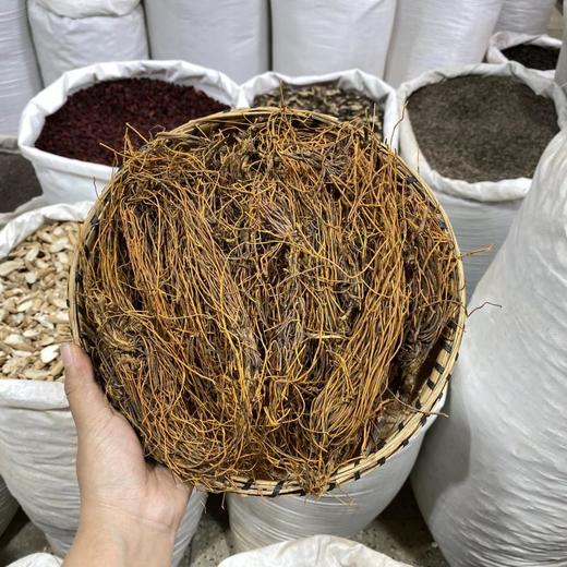 金丝马尾连 商品图0