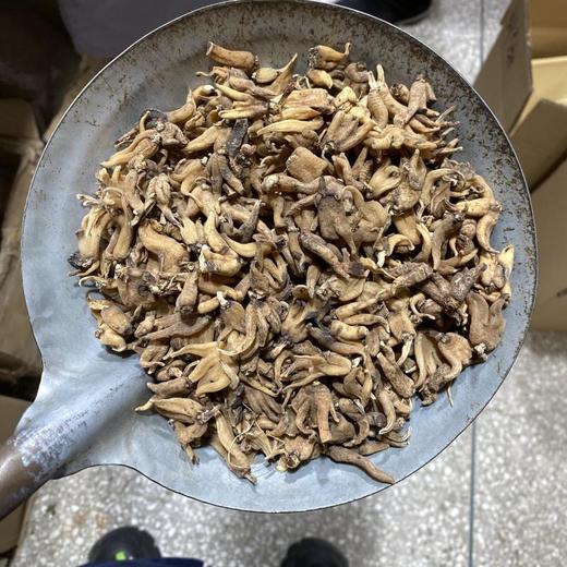 手掌参  佛手参 商品图1