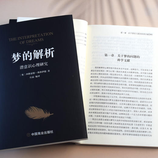 梦的解析 商品图3