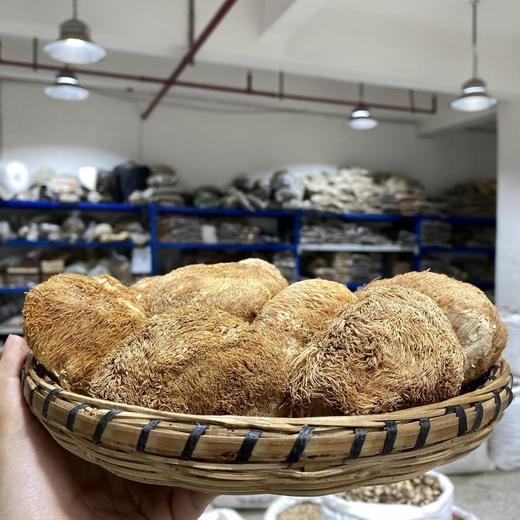 猴头菇 可磨粉 养胃 商品图1