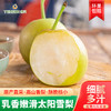 源兴太阳雪梨 商品缩略图0