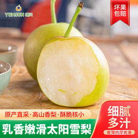 源兴太阳雪梨