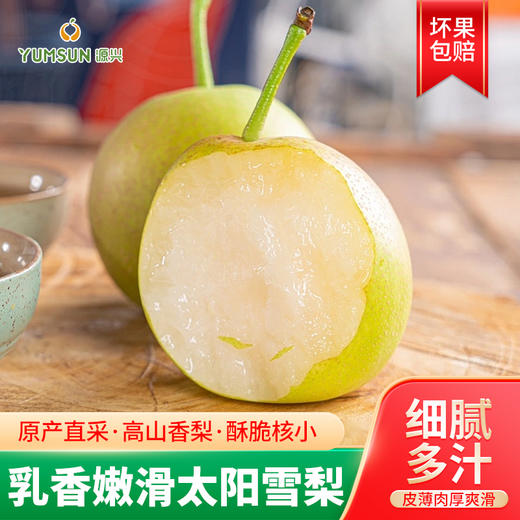 源兴太阳雪梨 商品图0