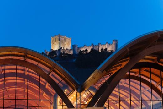 【普洛托斯 弗德乔干白葡萄酒】本款来自于西班牙著名的白葡萄酒产地卢埃达产区 由西班牙代表白葡萄弗德乔酿成 酒泥陈酿使这款酒口感更添丰富 充分冰镇后饮用 偏远地区不发或请联系客服 商品图7