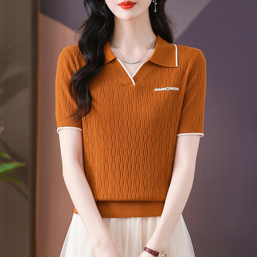 CC-QQH-9112短袖女t恤夏2024新款洋气时尚薄款针织衫polo领冰丝上衣 商品图2