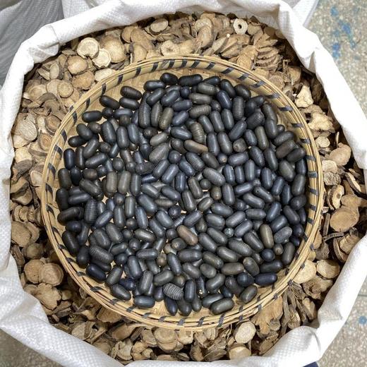 石莲子 石连子 商品图2