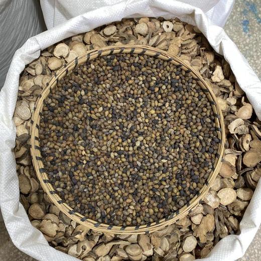 鸦胆子 商品图2