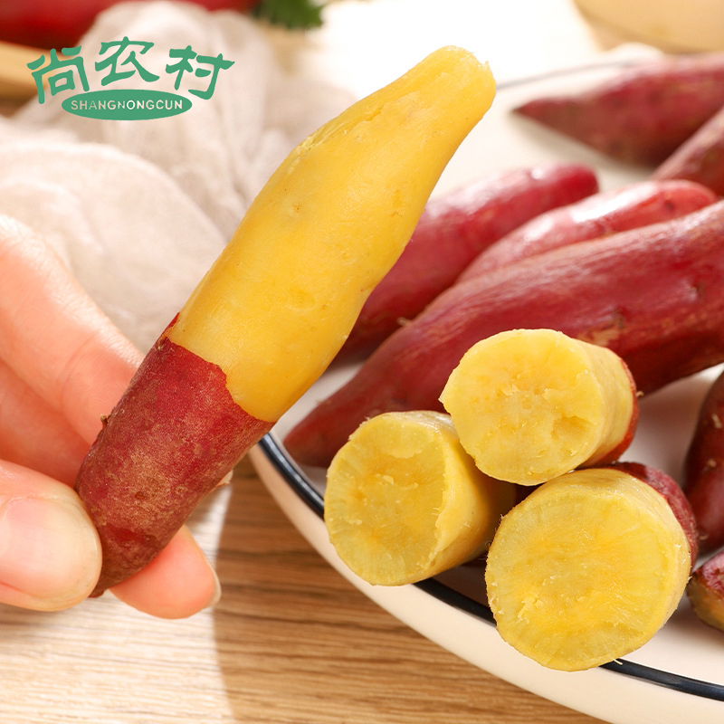 金手指地瓜小香薯地瓜4.5斤礼盒