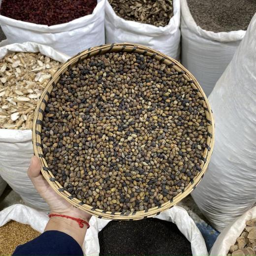 鸦胆子 商品图0