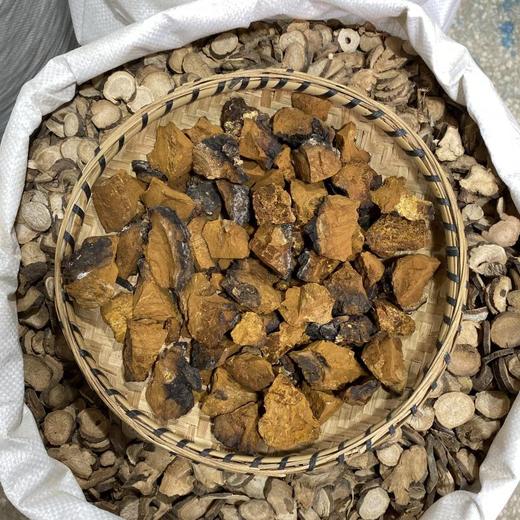 桦树茸   切块 商品图3