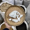 虫白蜡 商品缩略图2
