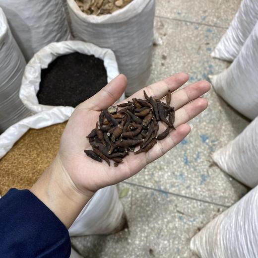 两头尖 商品图4