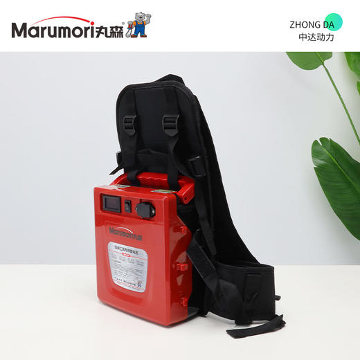 丸森 24V 15Ah【带标充】 商品图6