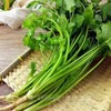 情圆芹菜（500g）|情圆自产|甘脆可口|生态种植|绿色新鲜 商品缩略图0