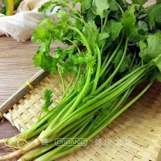 情圆芹菜（500g）|情圆自产|甘脆可口|生态种植|绿色新鲜 商品图0