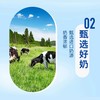 统一阿萨姆奶茶500ML*15瓶 商品缩略图2