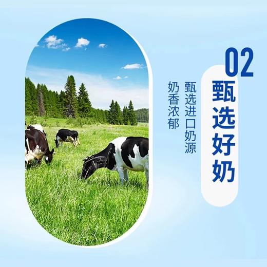 统一阿萨姆奶茶500ML*15瓶 商品图2