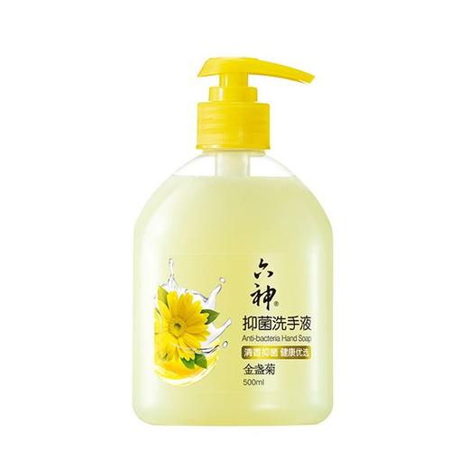 六神 金盏菊抑菌洗手液 500ml/瓶 商品图0