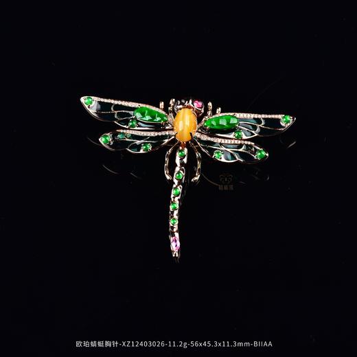 【腾飞】欧珀蜻蜓胸针-XZ12403026 商品图0