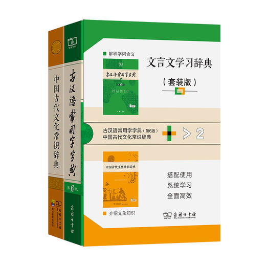 文言文学习辞典（套装版） 商品图0