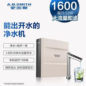 【DR1600FS】A.O.史密斯简约型橱下冷热即饮净水机
