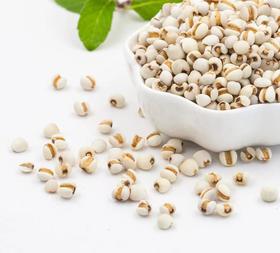 西藏察隅500g生薏仁米/熟薏仁米/薏仁粉